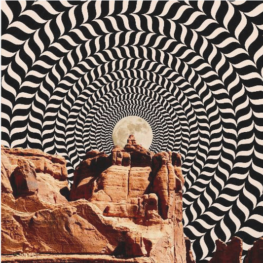 Der echte Roadtrip | Poster