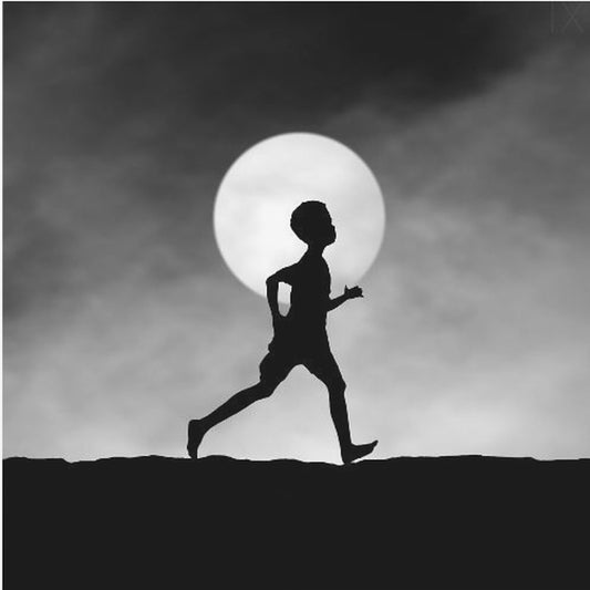 Der Traumfänger | Leinwand