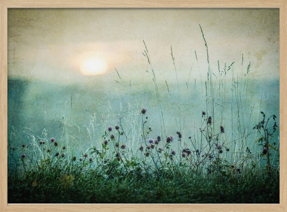 Herbstsonnenaufgang | Poster