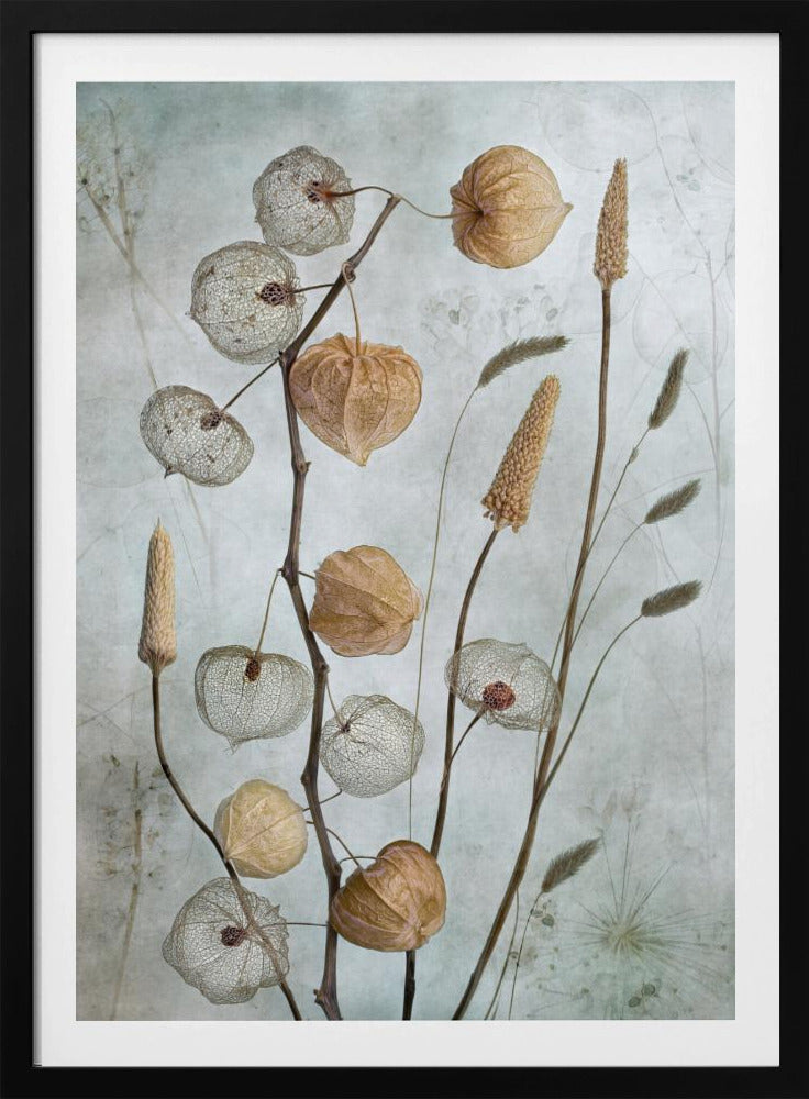 Laternen* | Poster