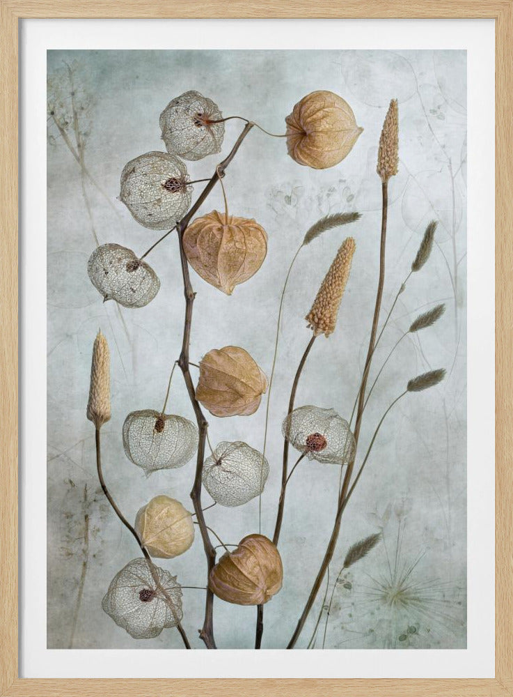 Laternen* | Poster