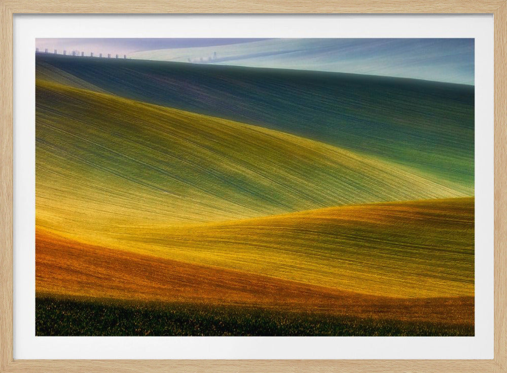 Frühlingsfelder | Poster