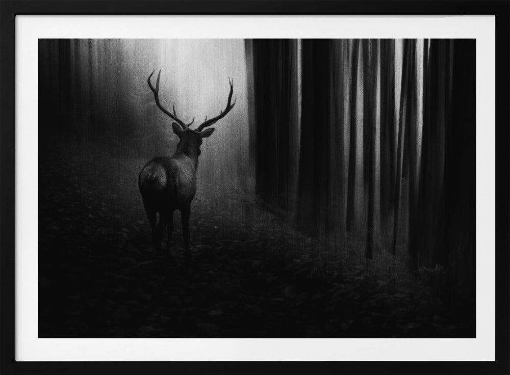 Hirsch | Poster