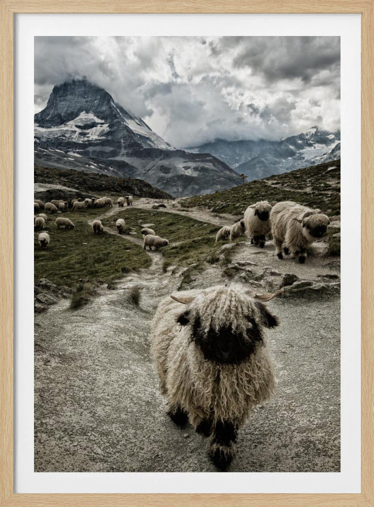 Aus dem Weg | Poster