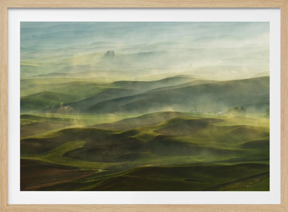 Goldener Morgen - Palouse | Poster