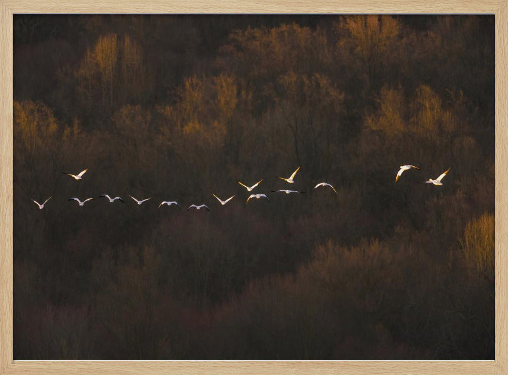 Morgenstimmung | Poster
