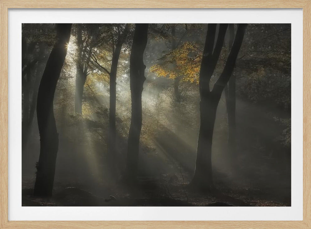 Sonnenstrahl | Poster