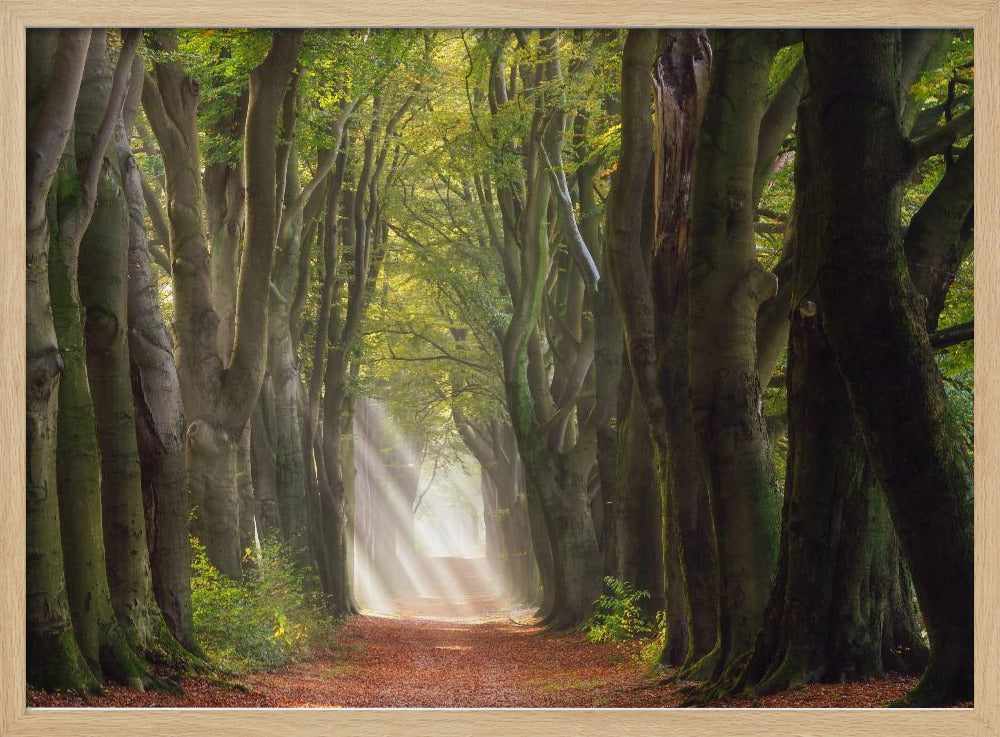 Ein herrlicher Tag | Poster