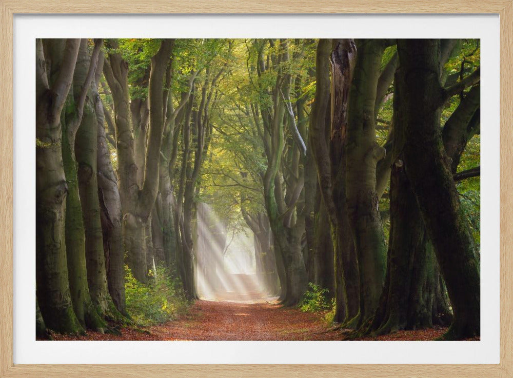 Ein herrlicher Tag | Poster