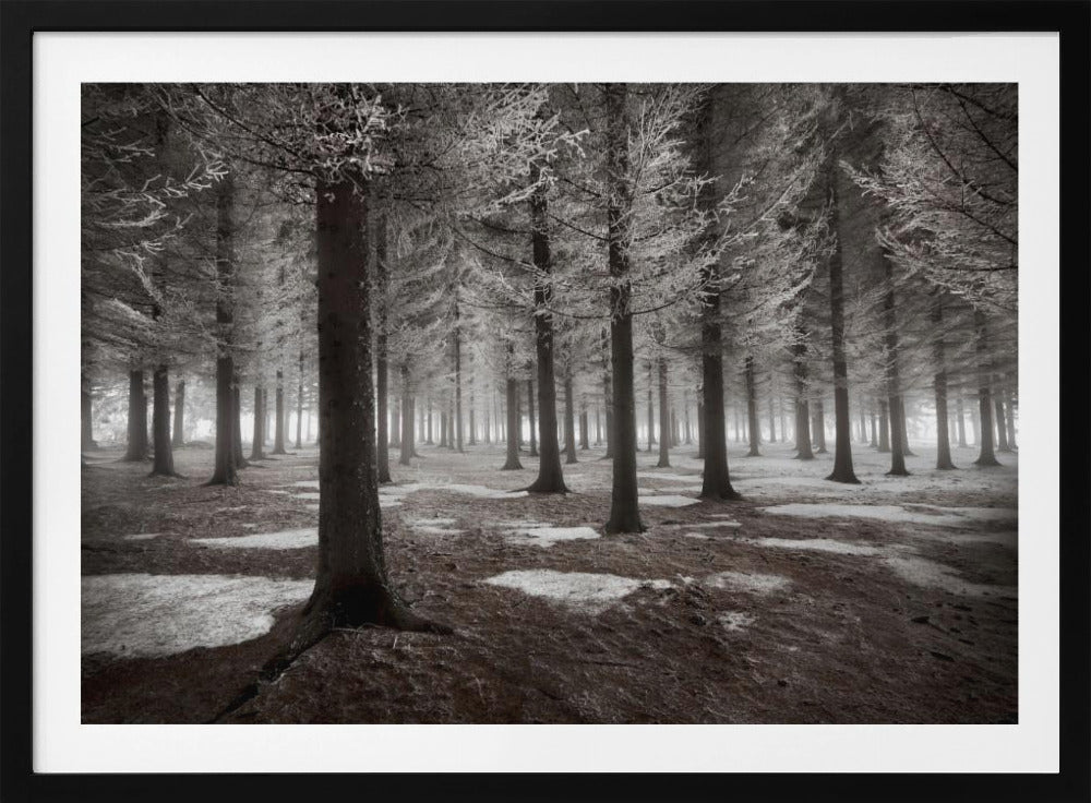 Der Wintereinbruch | Poster