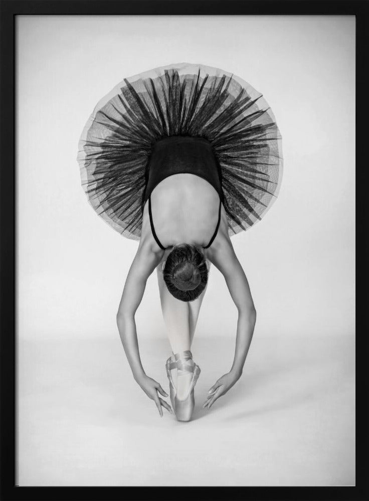 Balletttechnik | Poster