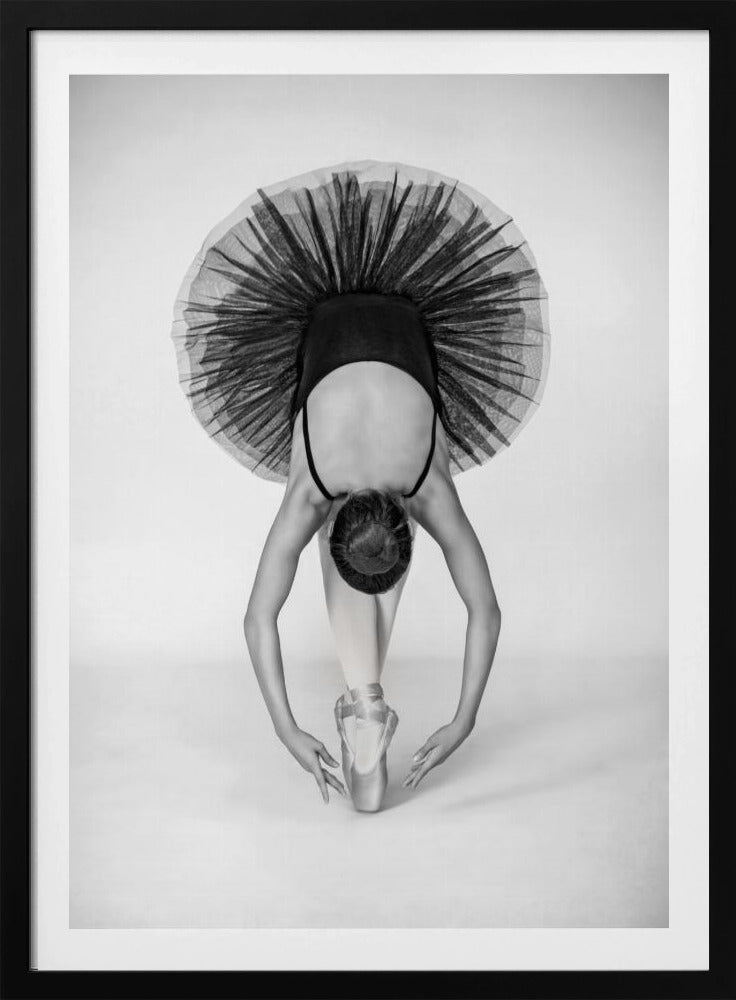 Balletttechnik | Poster