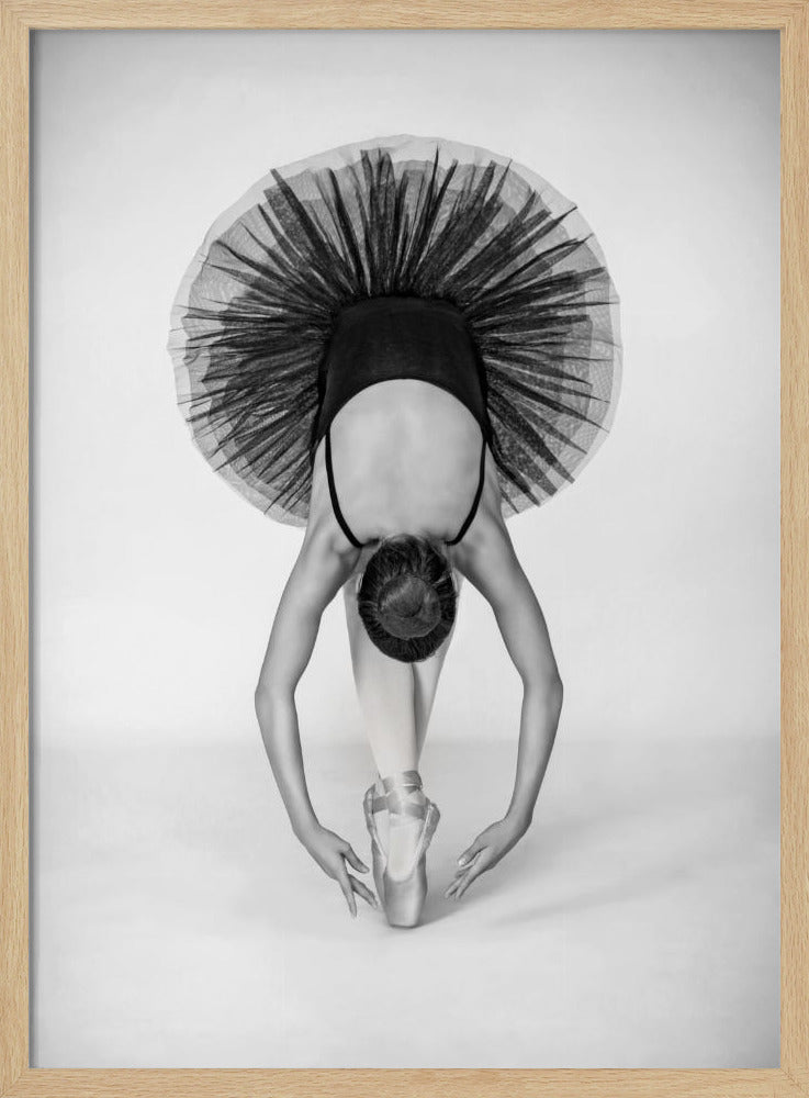 Balletttechnik | Poster