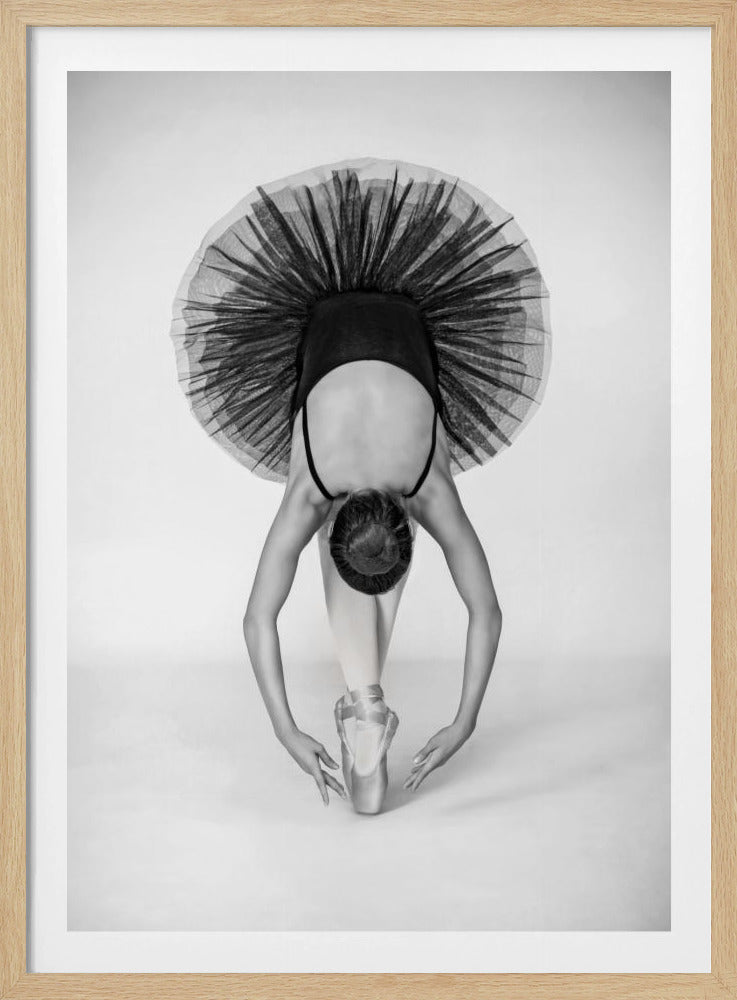 Balletttechnik | Poster