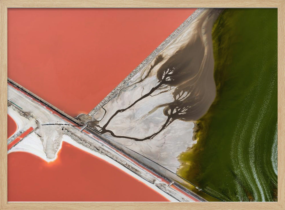 Gemälde der Natur | Poster