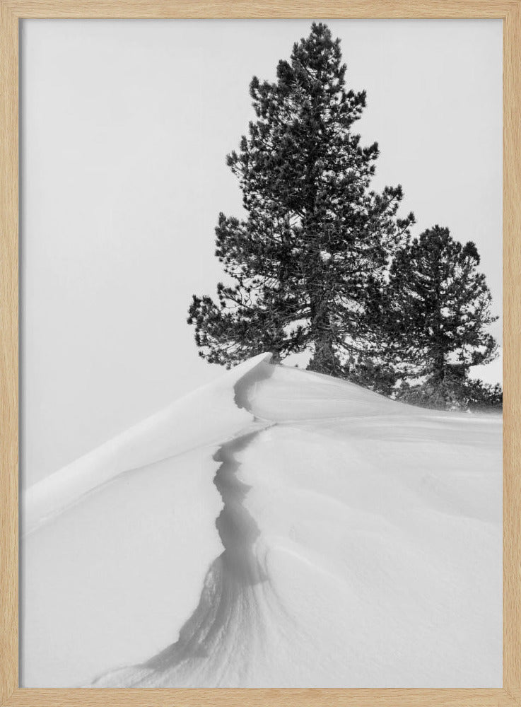 Über Schnee und Formen | Poster