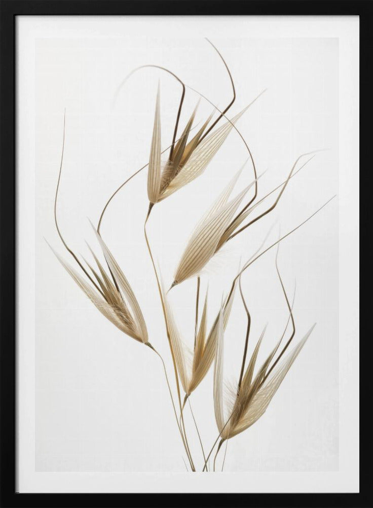 Zartheit der Natur | Poster