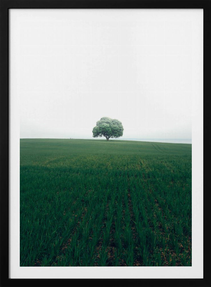 Die einsame Eiche | Poster