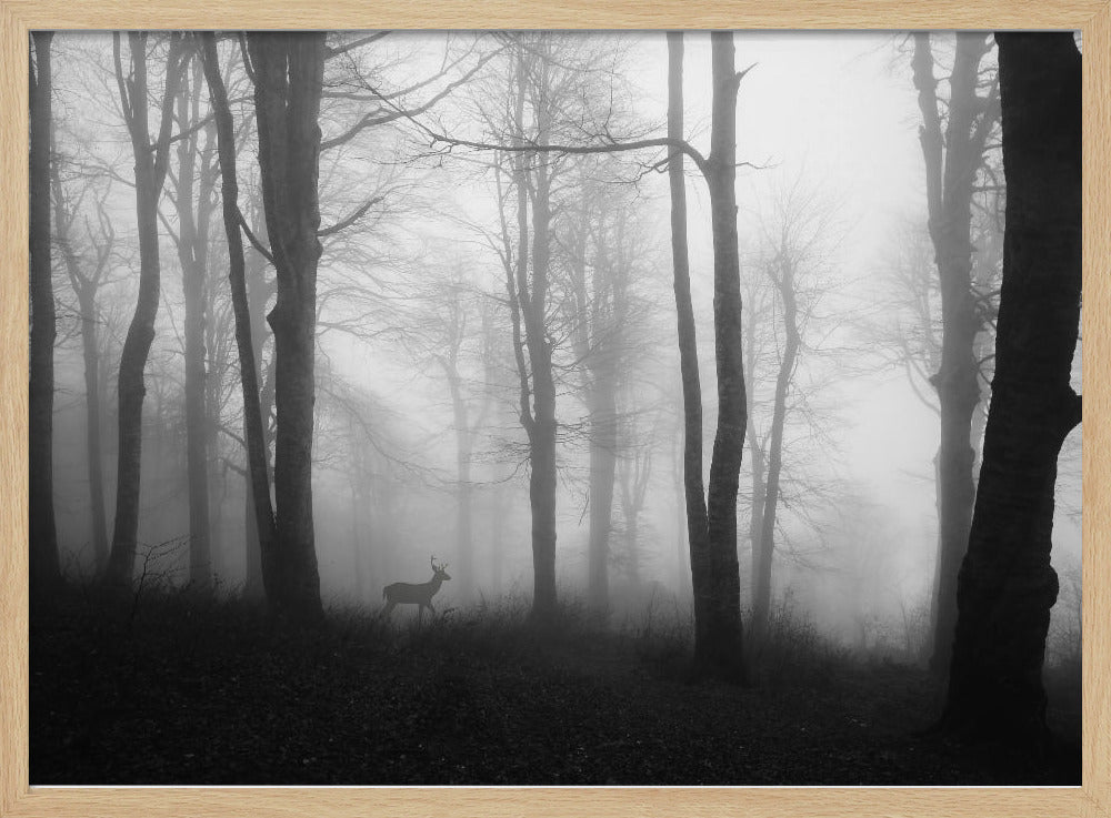 Wald | Poster