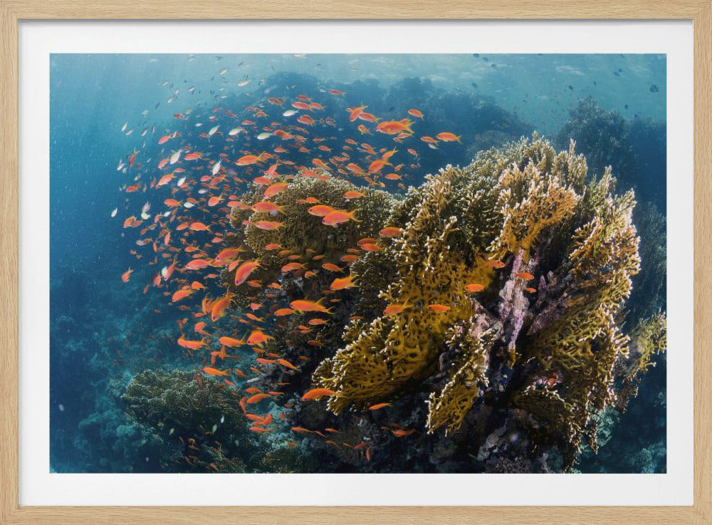 Rifflandschaft | Poster