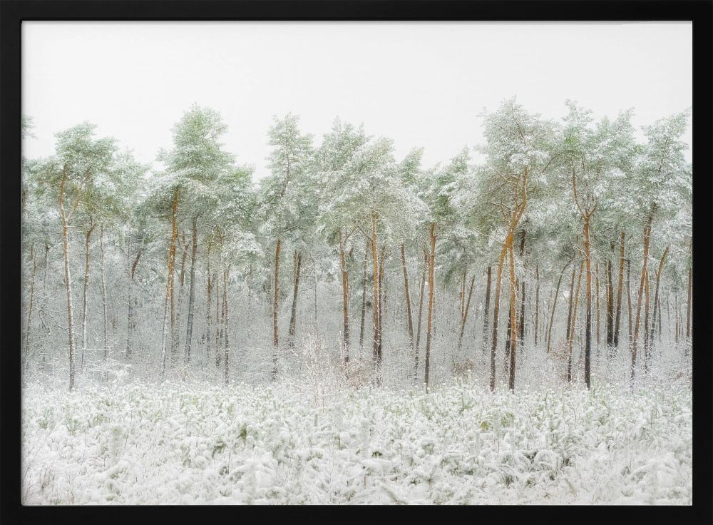 Schneewelt | Poster