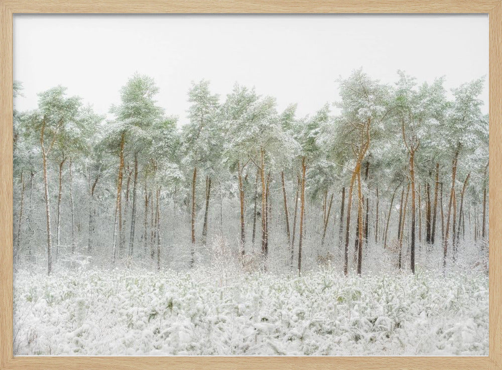 Schneewelt | Poster