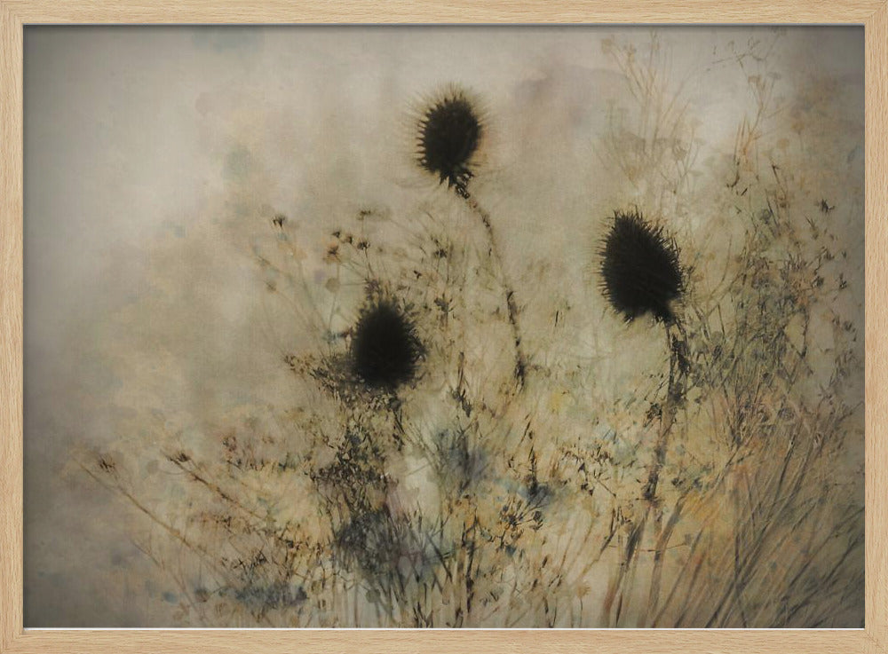 Seed boxes | Poster