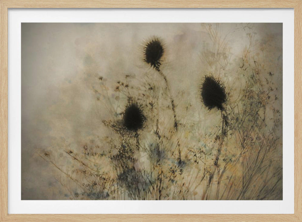 Seed boxes | Poster
