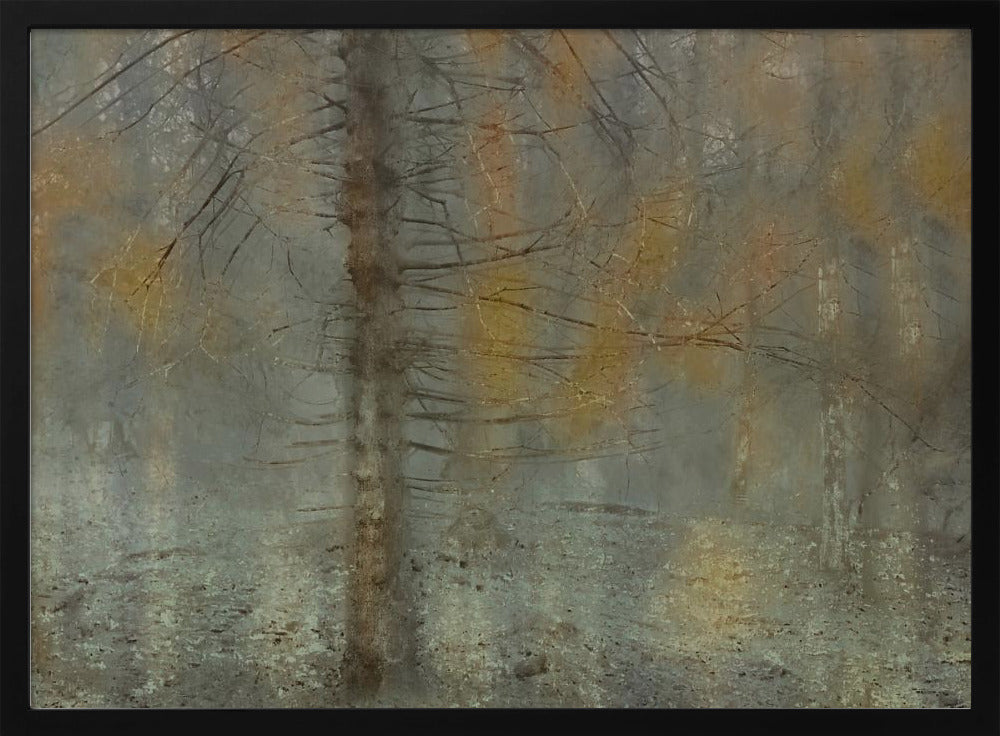 Kiefernbaum | Poster