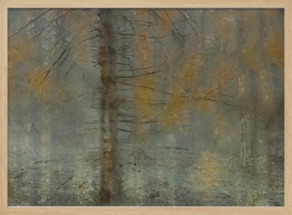 Kiefernbaum | Poster