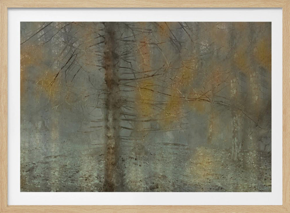 Kiefernbaum | Poster