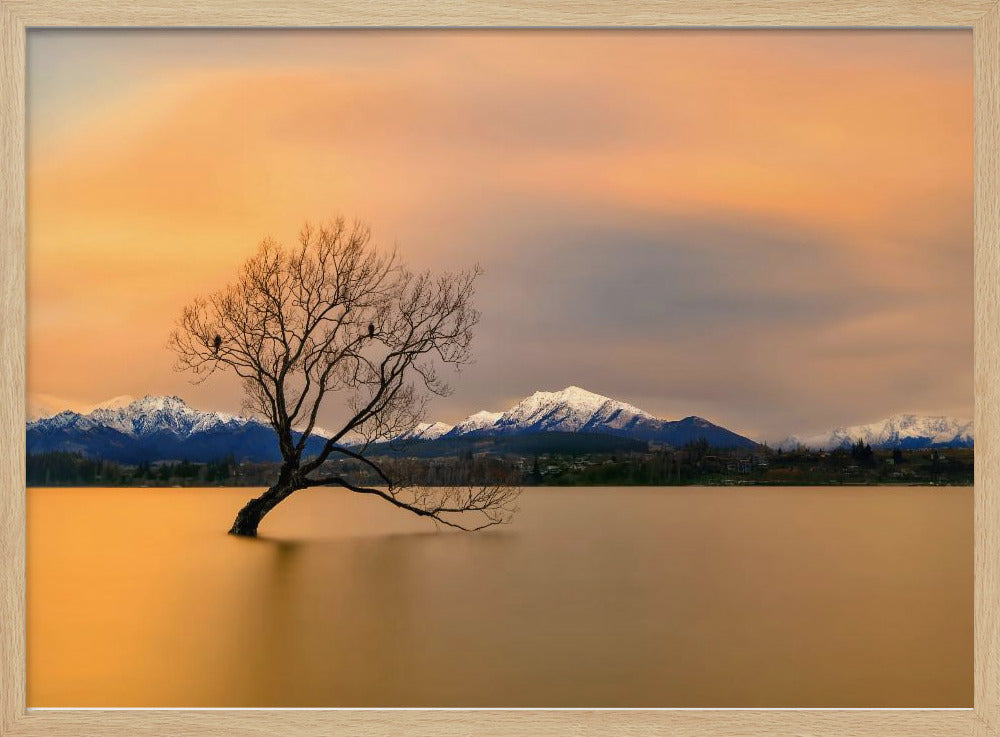 Morgenrot des Lake Wanaka | Poster