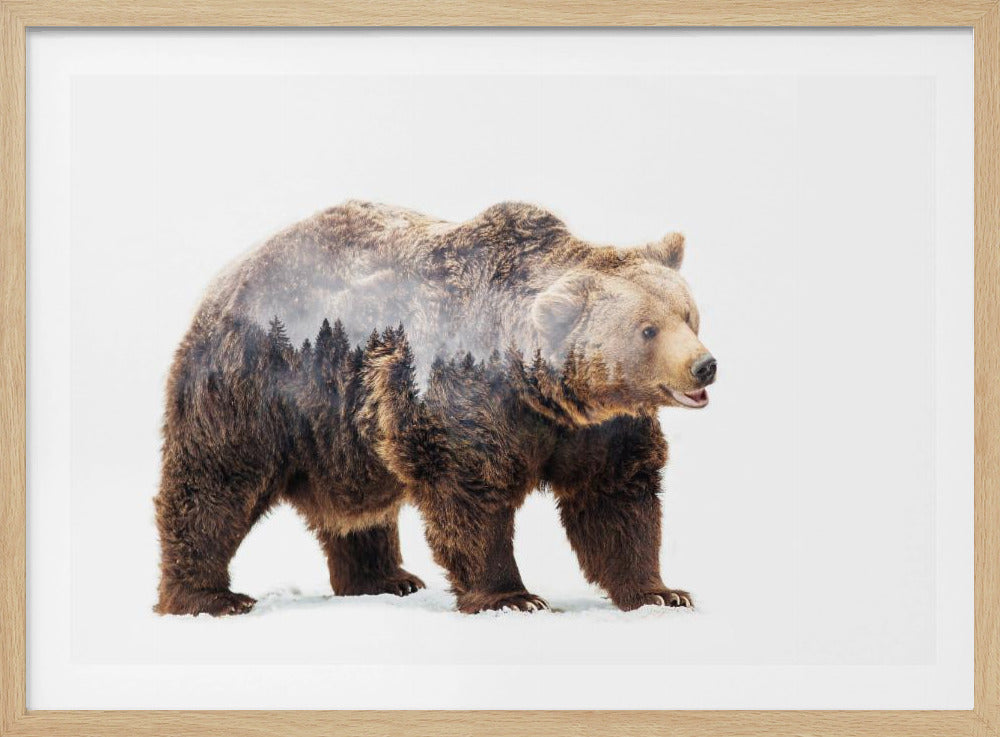 Bär | Poster
