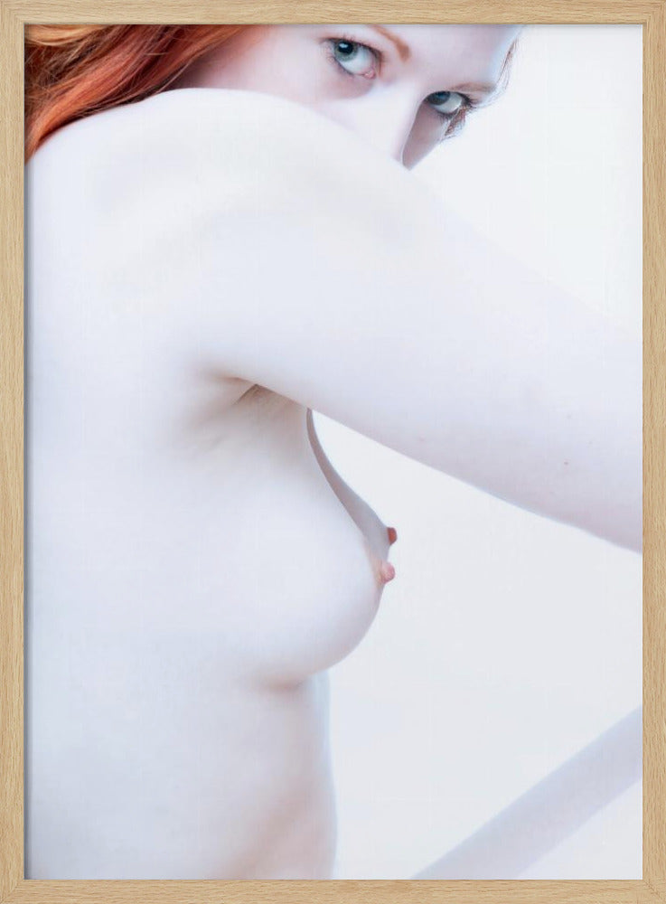 Formen und Kurven 1 | Poster