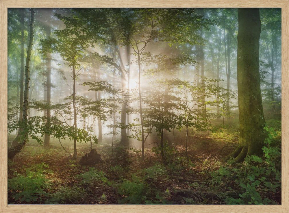 Morgensonne | Poster