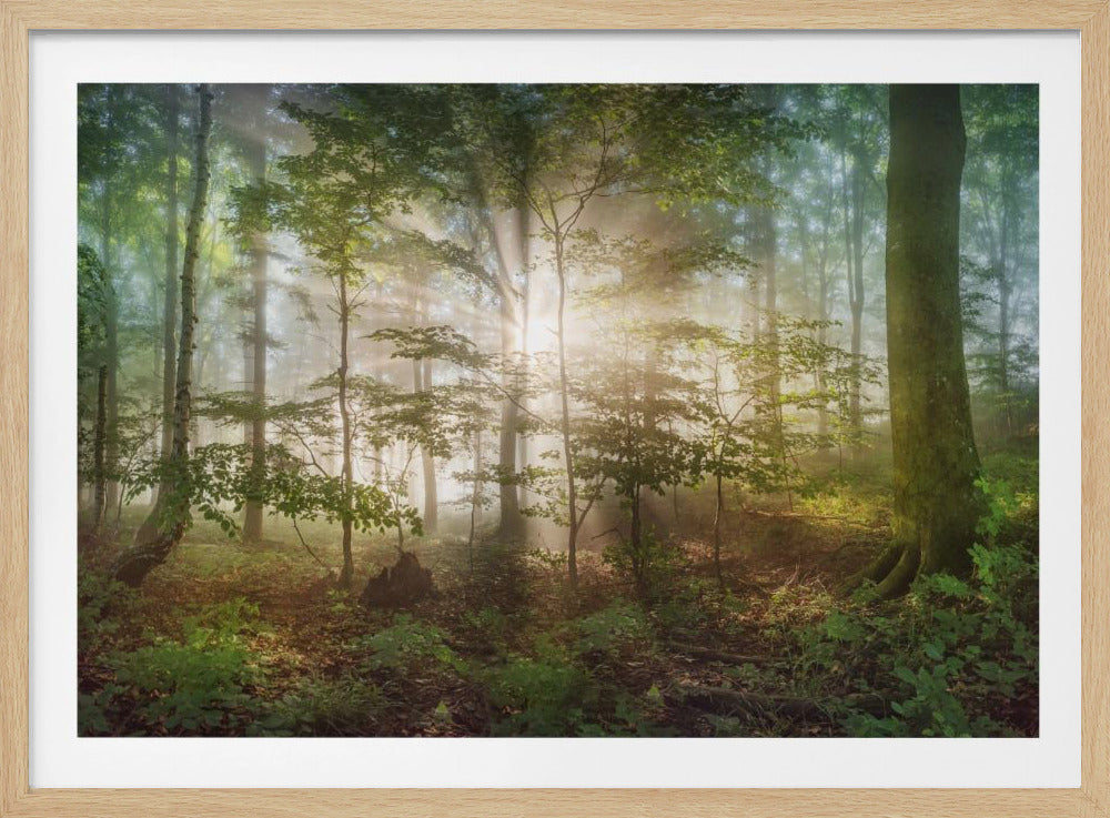 Morgensonne | Poster