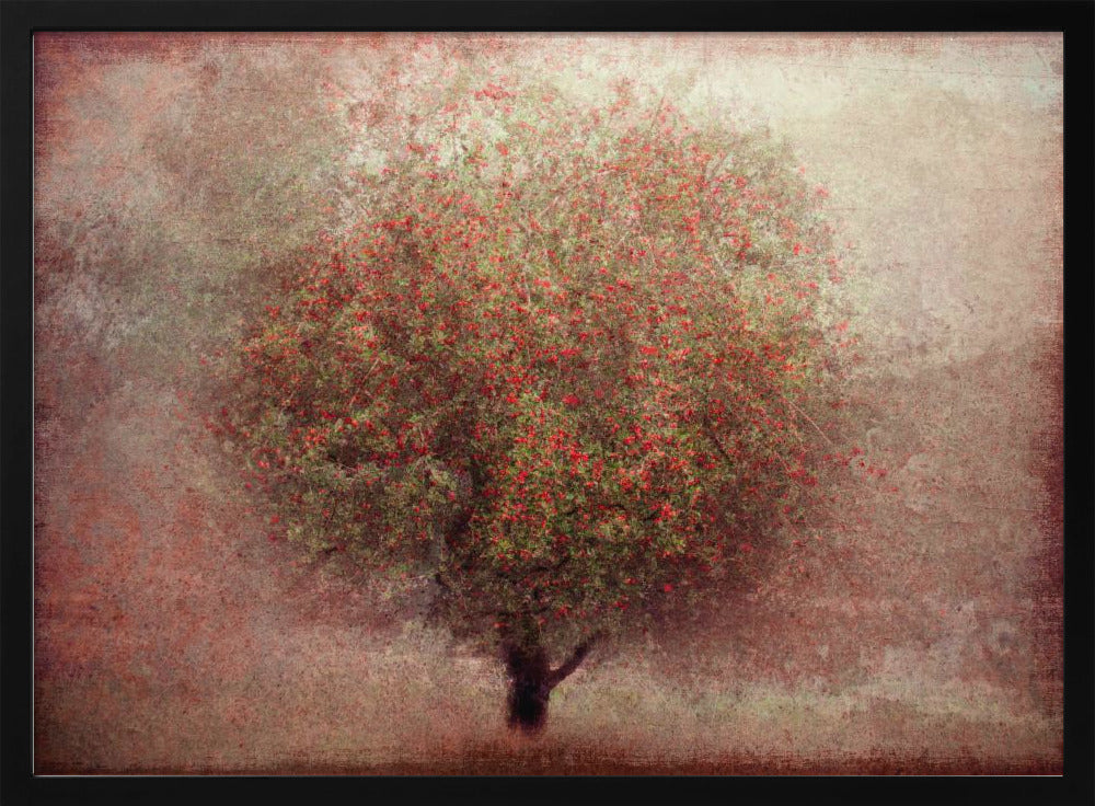 Apfelbaum | Poster