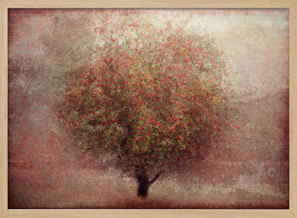 Apfelbaum | Poster
