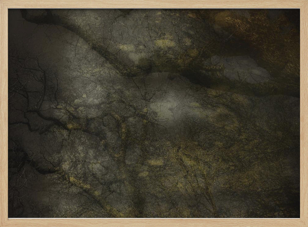 Alter Wald | Poster