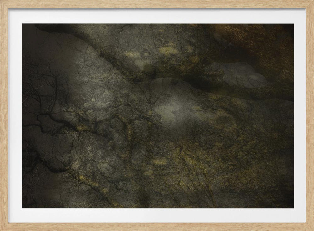 Alter Wald | Poster