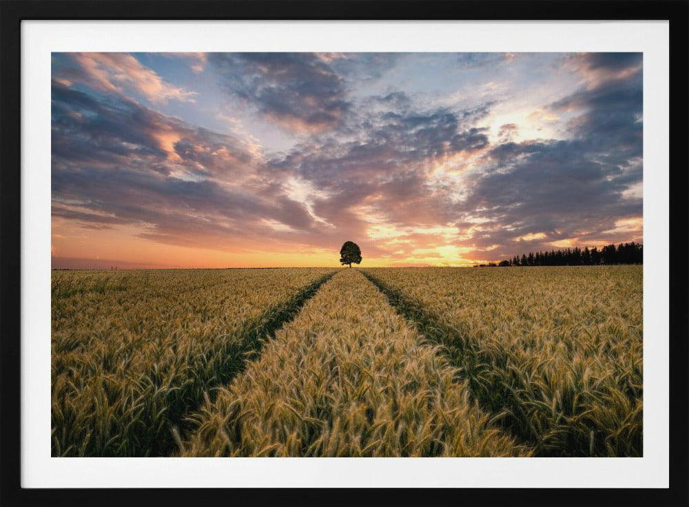 Feld der Träume | Poster