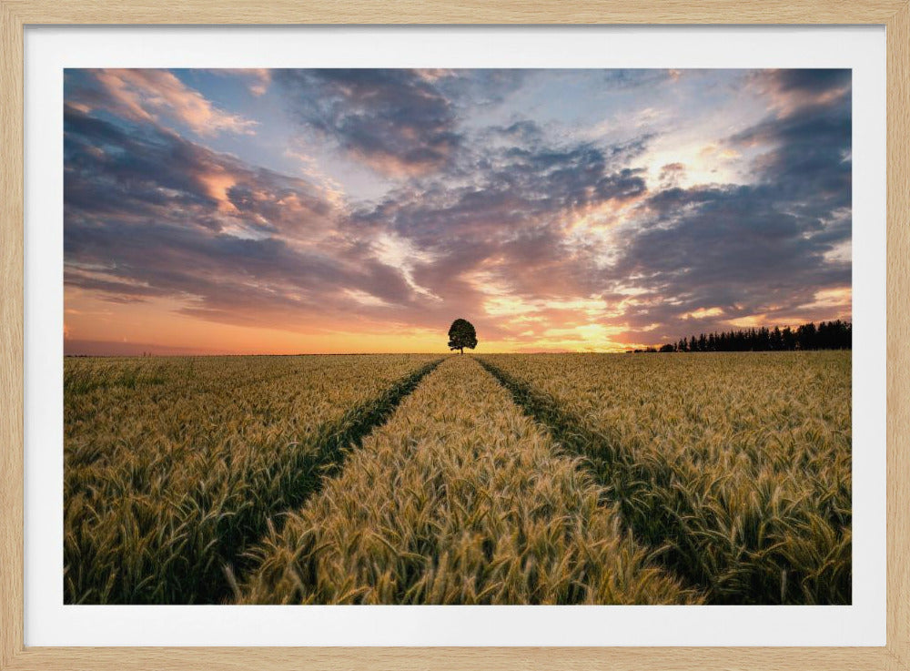 Feld der Träume | Poster