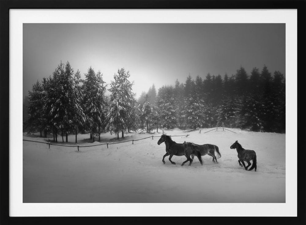 Ohne Titel | Poster