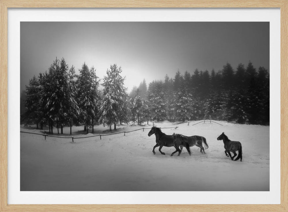 Ohne Titel | Poster