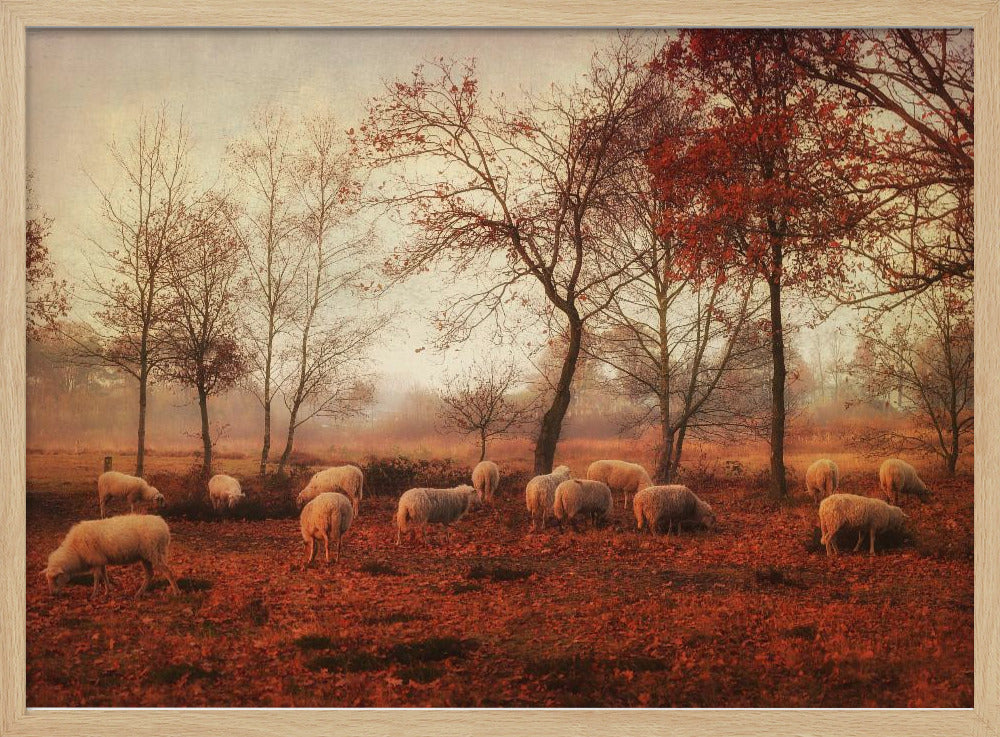 Letzte Herbsttage | Poster
