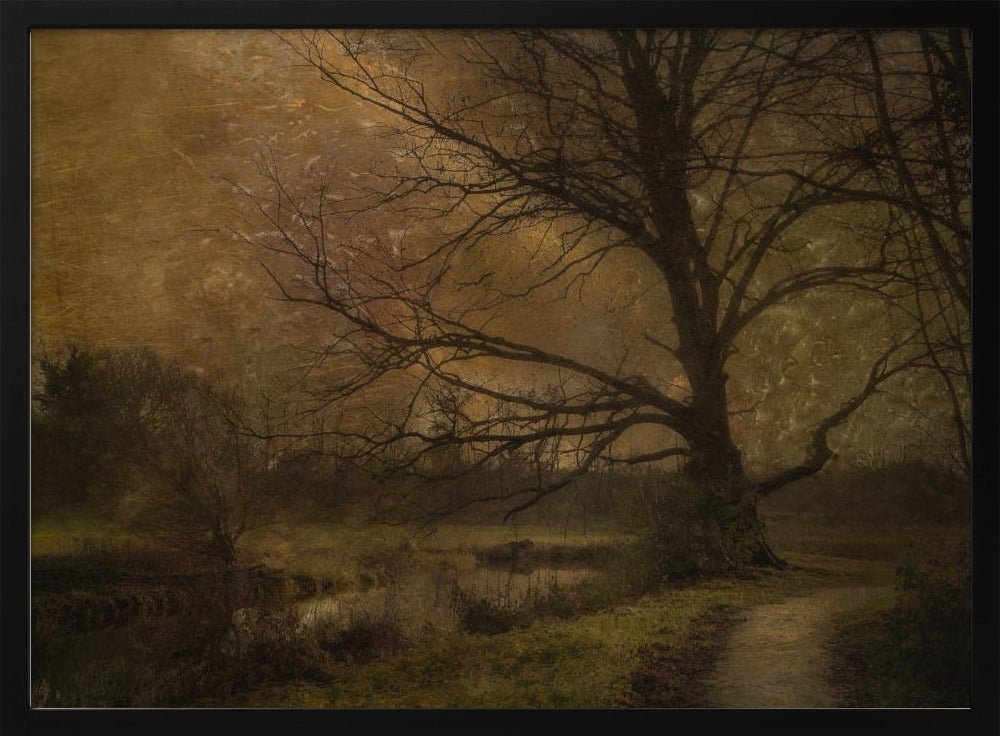 Alter Baum | Poster
