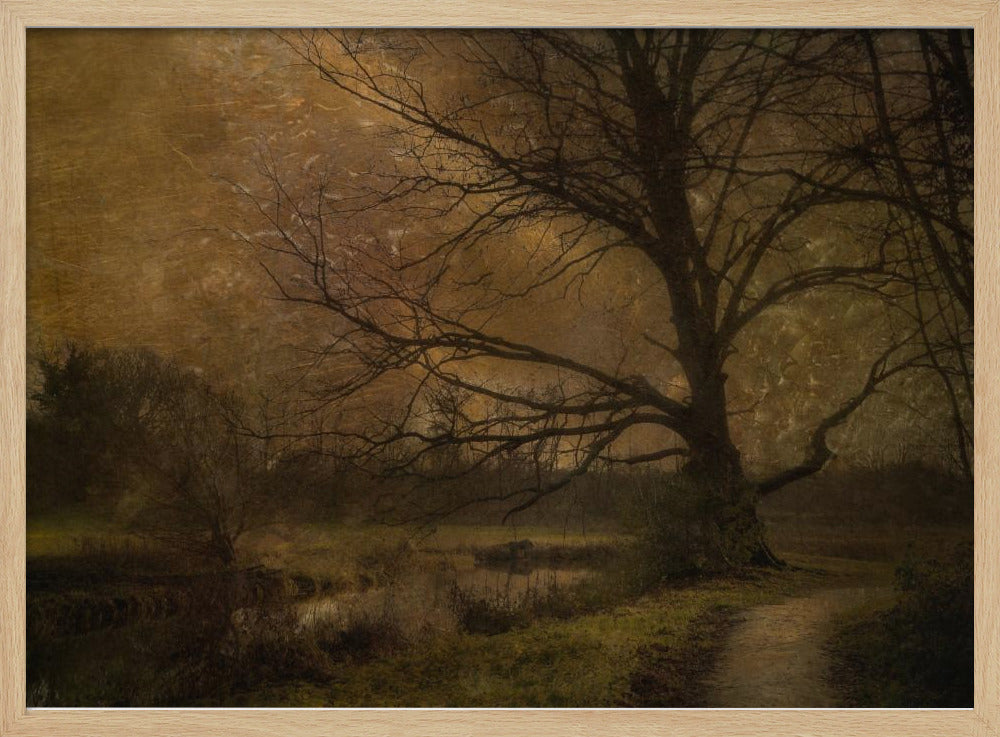 Alter Baum | Poster