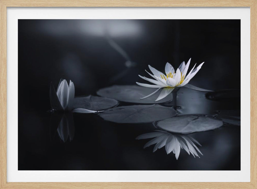 Reflection | Poster
