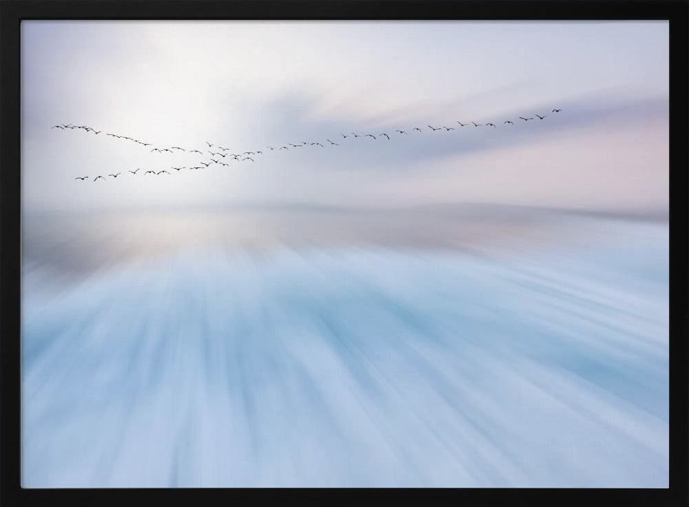 fly over | Poster