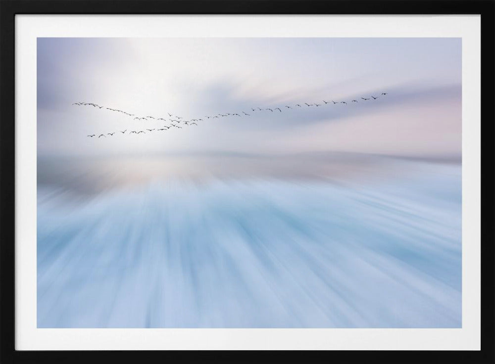 fly over | Poster